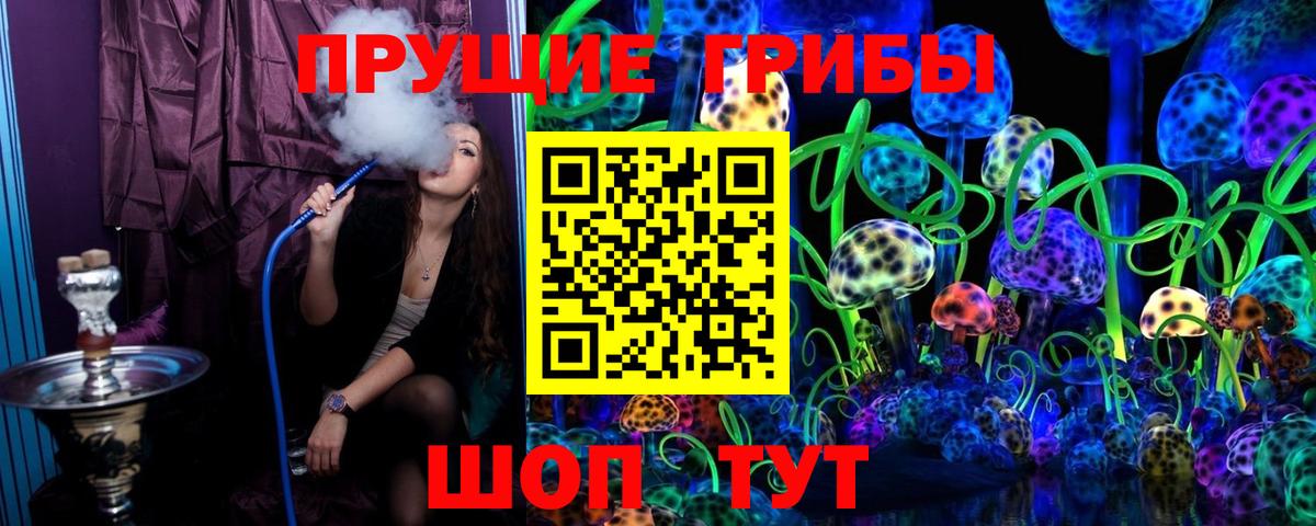 Прокопьевск  Галлюциногенные грибы мицелий  Вход с VPN 