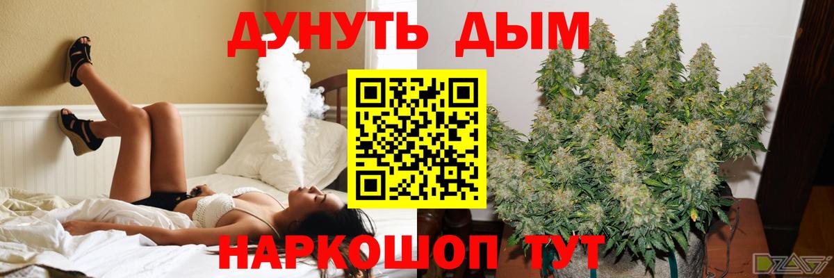 Бошки Шишки ГИДРОПОН  Бошки Шишки AK-47  Вход с VPN  Прокопьевск 